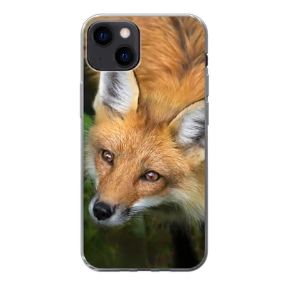 Produktbild von MuchoWow® Handyhülle Schutzhülle Hülle für iPhone 13 Fuchs - Grün - Orange Silikon Softcase Handy Hülle - Karteninhaber