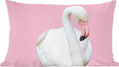 Produktbild von MuchoWow® Zierkissen Sofakissen Wohnzimmer Dekokissen 50x30 cm Weißer Flamingo - Wohnzimmerdekoration - Polster mit Photo