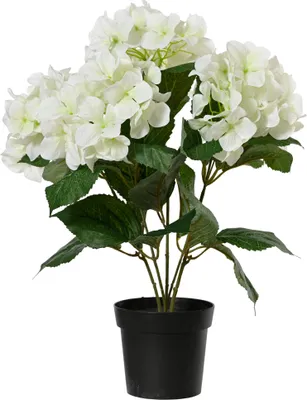 Produktbild von Künstliche Hortensie 28x46cm im Topf Weiß