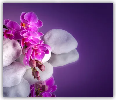 Produktbild von Tulup Glas Herdabdeckplatte Glaskeramikkochfeld-Abdeckung Spritzschutz Glasabdeckplatte Kochplattenabdeckung und Schneidebrett - Einteilig - 60x52 cm Orchidee