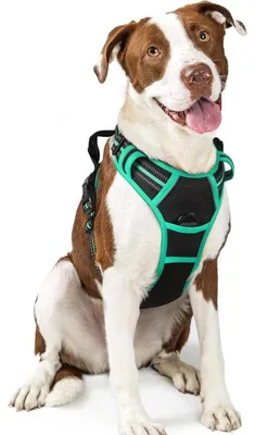 Image de Harnais pour chien anti-traction avec contrôle, réglable, respirant, avec bandes réfléchissantes, noir et vert, taille L