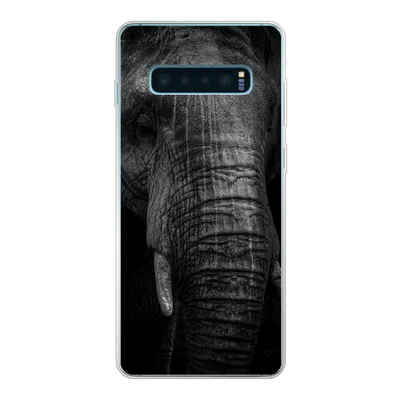Produktbild von MuchoWow® Handyhülle Schutzhülle Hülle für Samsung Galaxy S10 Plus Elefant auf schwarzem Hintergrund in schwarz und weiß Silikon Softcase Handy Hülle - Schutzhülle