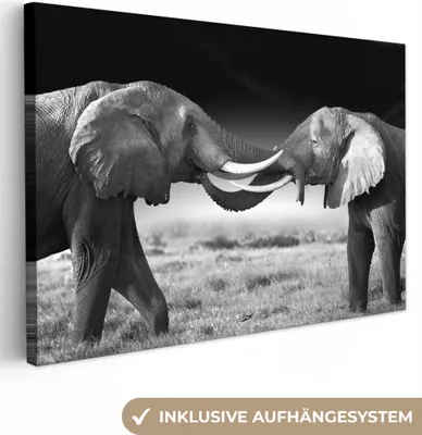 Obrázek produktu pro OneMillionCanvasses® - Plátno - Obrazy - Zvířata - Černobílý - Portrét - Krajina, Nástěnné umění, Nástěnné dekorace Obývací pokoj, 120x80cm