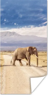 Produktbild von MuchoWow® Poster Überquerender Elefant 75x150 cm - Dekoration für die Wände