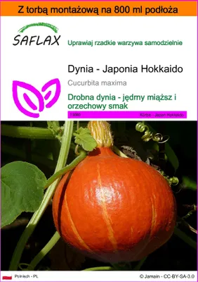 Zdjęcie produktu dla SAFLAX - Garden in the bag - Dynia - Japonia Hokkaido - 10 Nasiona - Z podłożem uprawowym w praktycznej, samorozkładającej się torbie - Cucurbita maxima