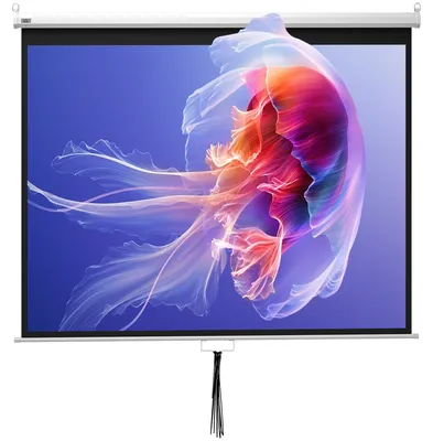 Produktbild von HOMCOM Beamer Leinwand 203 x 152 cm 100 Zoll 4:3/ 16:9 Projektionsleinwand