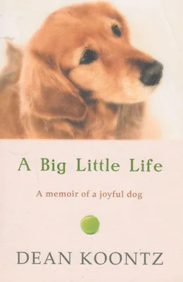 Obrázok produktu pre A Big Little Life