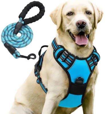 Image de Harnais Chien avec Laisse, Léger Respirant Réglable Anti Traction Réfléchissant - Bleu Taille XL