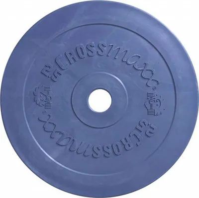 Produktbild von Lifemaxx Crossmaxx Technique Plate 2,5 kg GRAU