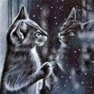 Produktbild von Diamond Painting Vollbild 50x70cm mit runden Steinen