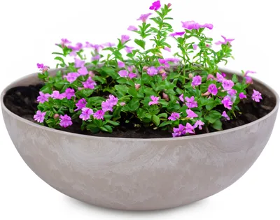 Produktbild von Pflanzschalen für draussen Dekoschalen rund sand beige 20 cm