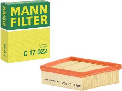 Immagine prodotto di Filtro aria MANN-FILTER C 17 022