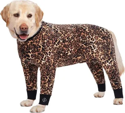 Produktbild von Hundepyjama - Hundetrui - Kleidung für Hunde