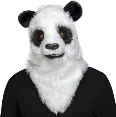 Image de Masque My Other Me Panda