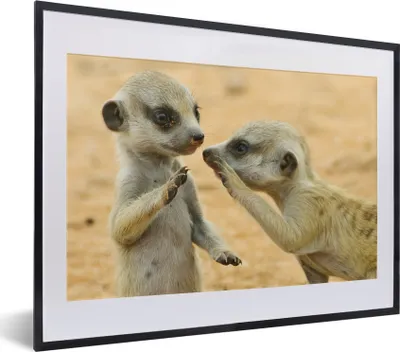 Produktbild von MuchoWow® MuchoWow® Gerahmtes Poster Erdmännchen - Braun - Tier 40x30 cm - Poster mit zchwarzem Bilderrahmen - Bilderrahmen - Poster im Rahmen