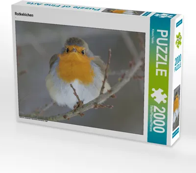 Produktbild von CALVENDO Puzzle Rotkehlchen 2000 Teile Puzzle quer | 2000 Teile Lege-Größe 90x67cm Foto-Puzzle für glückliche Stunden