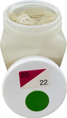 Produktbild von Saitling Schafsaitlinge Schafsdarm Kaliber 20/22 AB 91,4 Meter füllfertig in der Dose Naturdarm | wurstmacher-shop by trümper