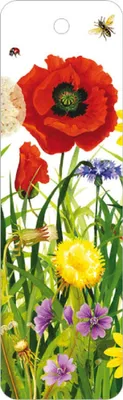 Produktbild von Lesezeichen Mohnwiese, 14 x 4 cm, Buchzeichen Bookmark Bücher Buch Blumen