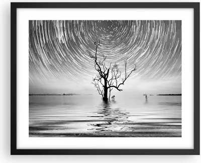 Produktbild von Gerahmtes Poster - Schwarzer Rahmen - Schwarzweiß Baum See - 50x40 cm - Wand Bild - Wanddeko - Wandbilder - Kunstposter - Wandposter - Bilderrahmen - Bilder - Kunstdruck - Wandbild - P2BAA50x40-4253