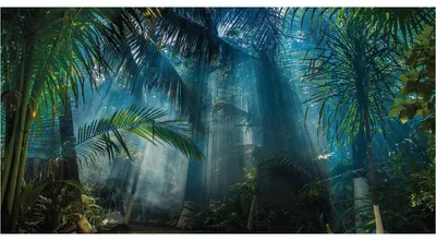 Produktbild von Vorgekleisterte Panoramatapete mit tropischem Dschungelmotiv, H 250 x B 480 cm