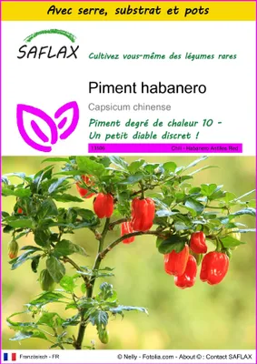Image de SAFLAX Ensemble de culture - Piment habanero - 10 graines - Capsicum
