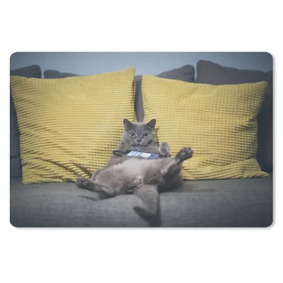 Produktbild von MuchoWow® Schreibtischunterlage Katze - Bank - Faule 60x40 cm - XXL Mauspad - Großes Mauspad