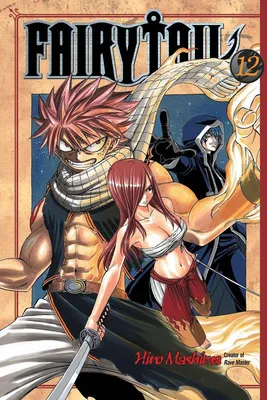 Produktbild von Fairy Tail 12