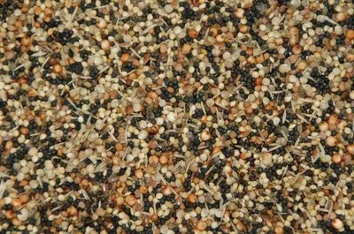 Image de Wielink : Semences de mauvaises herbes – 20 kg