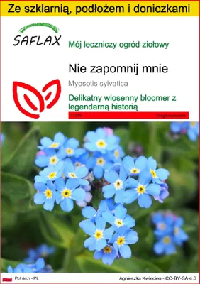 Zdjęcie produktu dla SAFLAX - Zestaw do uprawy - Nie zapomnij mnie - 150 Nasiona - Z mini szklarnią, podłożem uprawowym i 2 doniczkami - Myosotis sylvatica