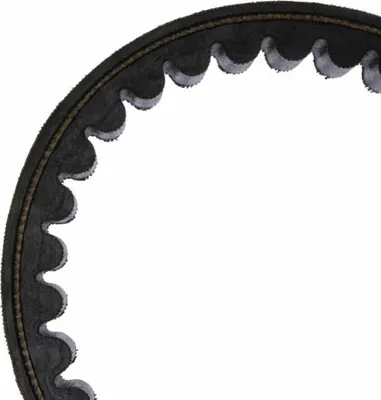 Immagine prodotto di Cinghia trasmissione MITSUBOSHI MBLSC031 22,5x937