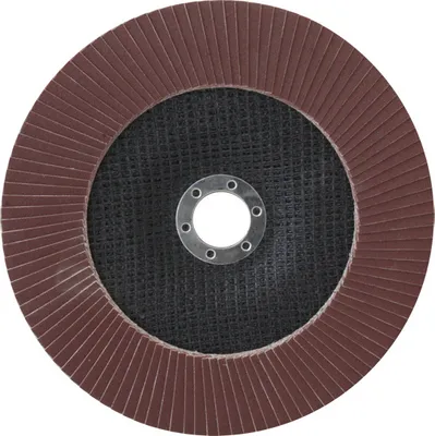 Immagine prodotto di 180 mm Fächerscheiben Lamellenscheiben Schleifscheiben 180x22,2 mm Körnung 240