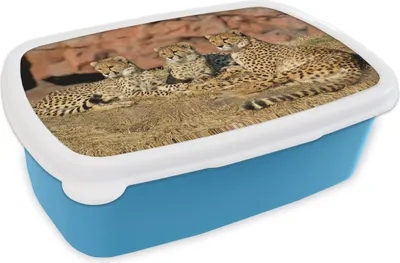 Obrázok produktu pre KitchenYeah® Lunchbox Box na desiatu 17x11 cm Gepardia mama a chlapec Detský box na desiatu - obed - plastový - plechovka na chlieb - sendvičový box - box na desiatu pre deti