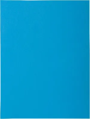 Produktbild von Exacompta 218019E 5x  - Aktendeckel A4 Rock´s 50St 1 Klap blau Blau