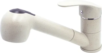 A kitchen faucet with a pull-out spray head.