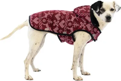 Obrázek produktu pro Obleček svetr Cindy bordó 45cm