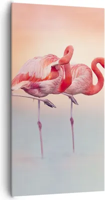 Produktbild von Bild auf Leinwand - Leinwandbild - Einteilig - Flamingos Exotik Vögel - 65x120cm - Wand Bild - Wanddeko - Wandbilder - Leinwanddruck - Bilder - Wanddekoration - Leinwand bilder - PA65x120-5044