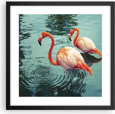 Produktbild von Gerahmtes Poster - Schwarzer Rahmen - Rosa Flamingos Wasser - 40x40 cm - Wand Bild - Wanddeko - Wandbilder - Kunstposter - Wandposter - Bilderrahmen - Bilder - Kunstdruck - Wandbild - P2BAC40x40-4203