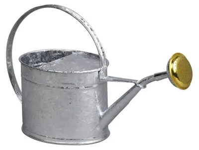 Gießkanne oval 1,75 l Metall grau 32 cm