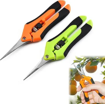 Immagine prodotto di Forbici da giardino professionali in acciaio inossidabile, set da 2