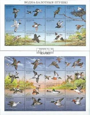 Produktbild von Briefmarken Weißrussland 1996 Mi 163-190 Kleinbögen (kompl.Ausg.) postfrisch Vögel