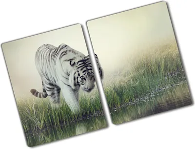 Produktbild von Tulup Glas Herdabdeckplatte - 2x40x52 cm - Glaskeramikkochfeld-Abdeckung Spritzschutz Glasabdeckplatte Kochplattenabdeckung und Schneidebrett - Zweiteilig - Tiere - Weißer Tiger - Weiß
