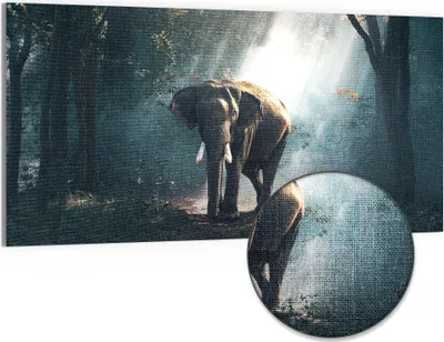 Produktbild von DEQORI Hybrid Leinwand Bild 100x50 cm 'Elefant im Wald' Wandbild Glas flach modern