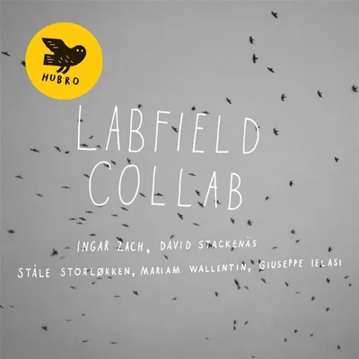 Image de Labfield : Collab - 375 Media - (CD / C)