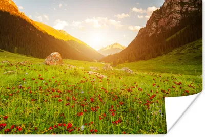 Produktbild von MuchoWow® Poster Blumen - Berg - Sonne 180x120 cm - Fotoplakat