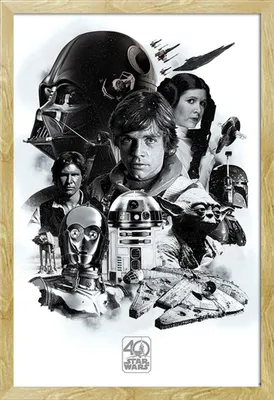 Image de Star Wars - Poster - 40th Anniversary - Montage + cadre interchangeable, Shinsuke® Maxi MDF hêtre, vitre acrylique