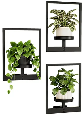 Productafbeelding van Wandplantenbakken voor kamerplanten, set van 3, moderne bloemenstandaard met metalen frame, decoratieve wandbloempotstandaard, plantenhouder voor woonkamer, kantoor en hal