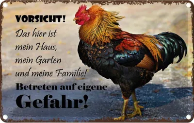 Produktbild von vianmo Blechschild 20x30 cm Huhn Vorsicht das mein Haus Tier Haustier Spruch Zitat