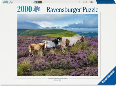 Zdjęcie produktu dla Puzzle Ravensburger 12001751 - Dzikie konie na wrzosowisku - układanka 2000 elementów, dla fanów koni od 14 roku życia
