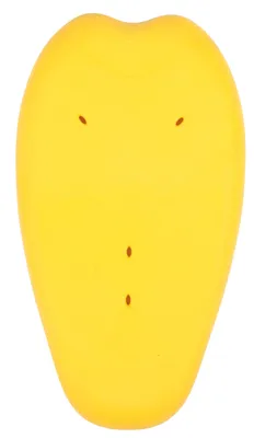 Image de SAS-TEC Protecteur dorsal SCL-19 Taille M/L