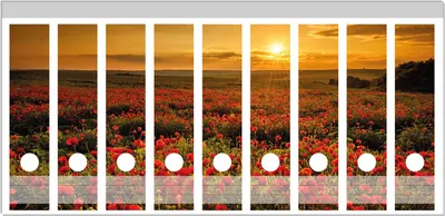 Produktbild von Wallario Ordnerrücken Sticker, selbstklebend für breite Ordner, 9 Stück, Motiv Mohnblumenwiese bei Sonnenuntergang am Abend